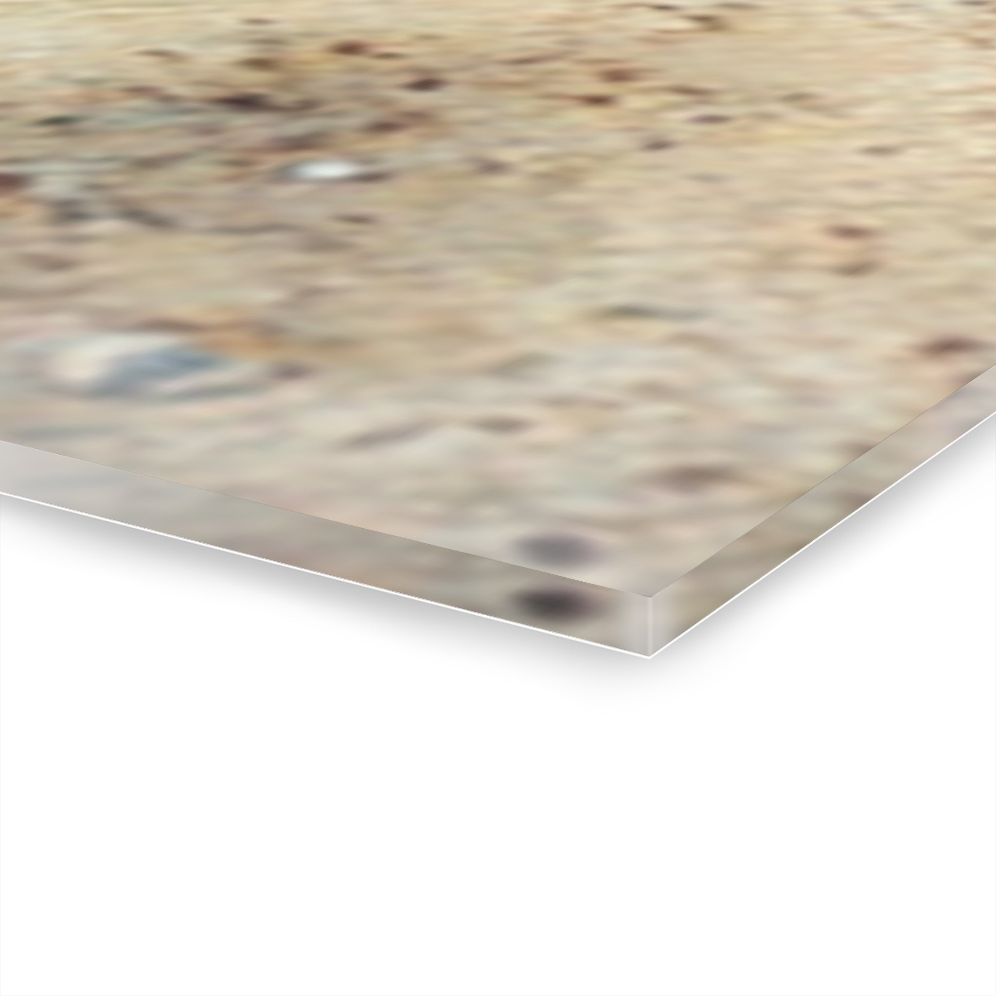 Coastal Triptych Acrylic Prints - Beach Shells & Ocean Vibes Decor