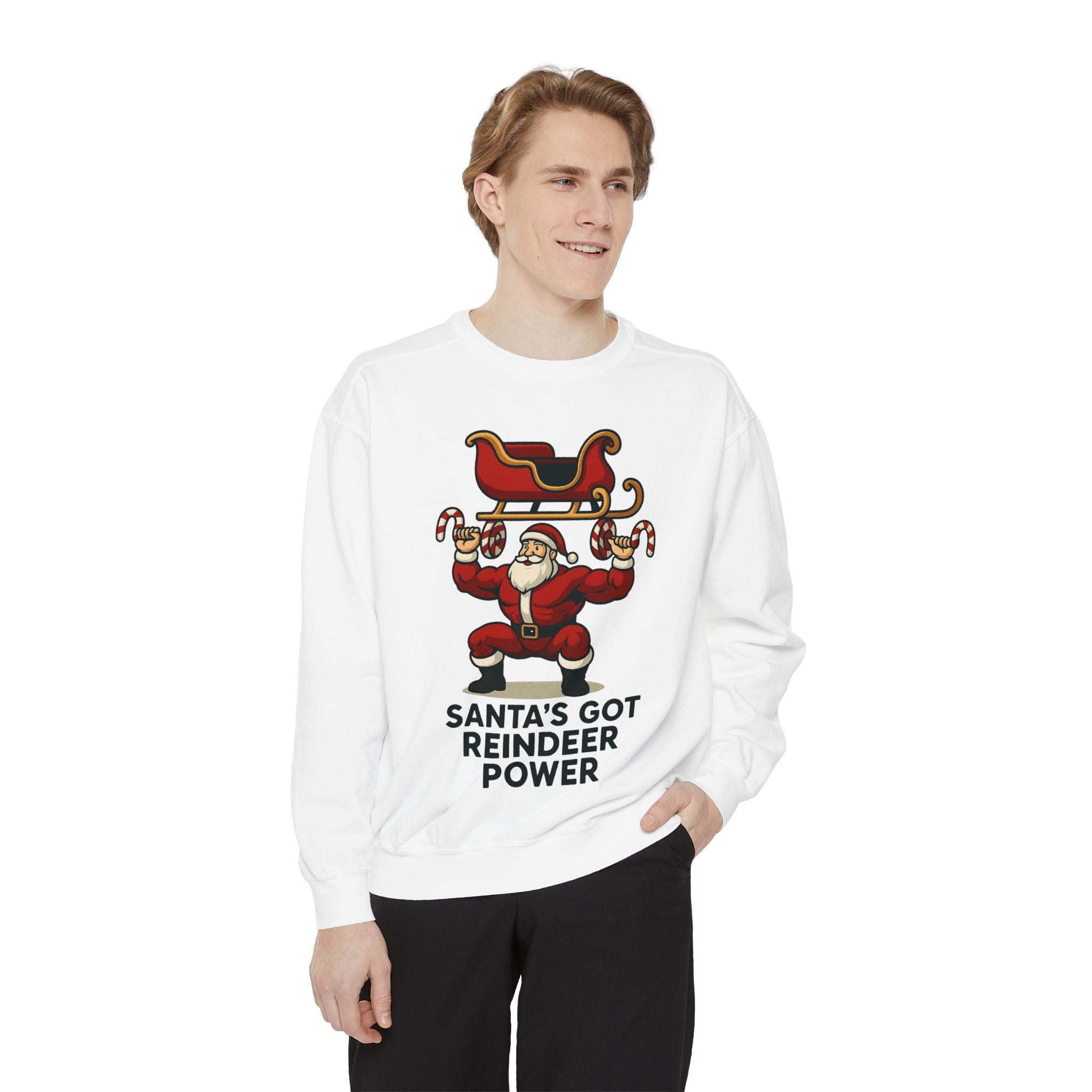 Santa's Got Reindeer Power Sweatshirt
