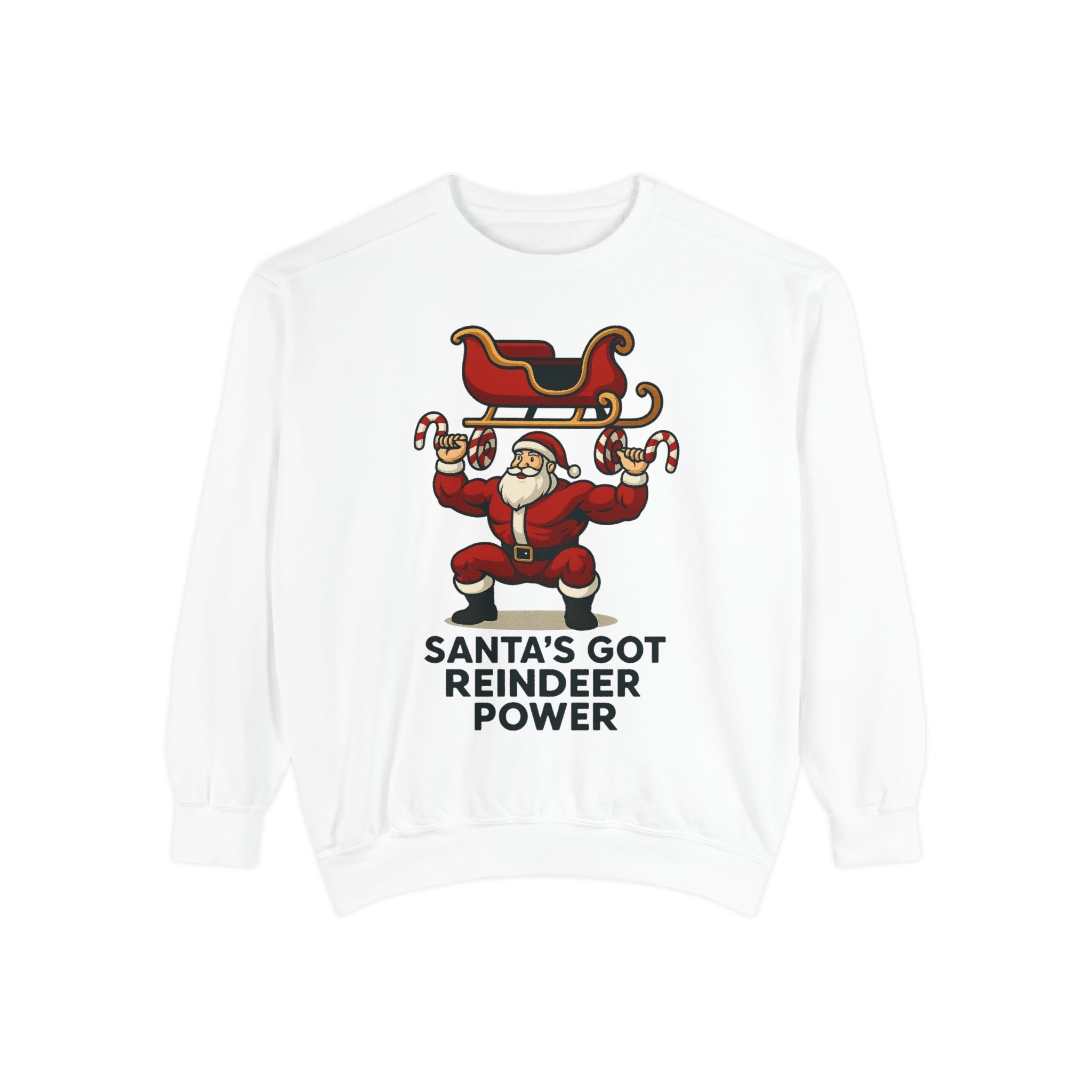 Santa's Got Reindeer Power Sweatshirt